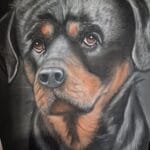 Help de M.A-Run en biedt mee op een eigen kunstwerk van je huisdier!